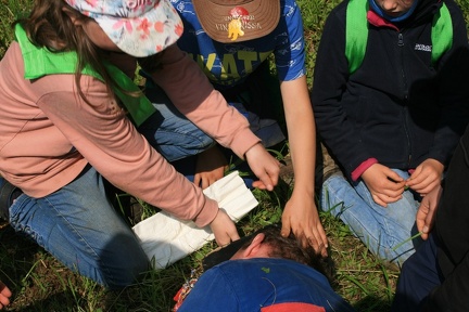 IMG 0566