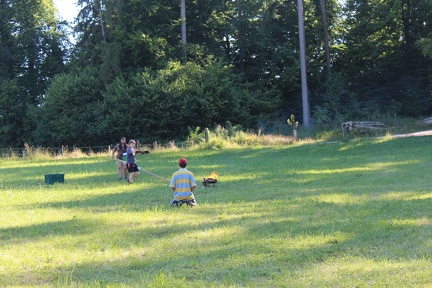 63F14CDA-517A-41AC-9BF6-1683EB12E278