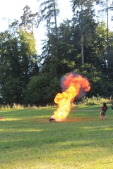 BB1E2E90-D3FF-4DC9-8F86-430482CCD6B6