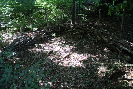 12049019-F2E9-4079-8DE9-7799147018A7