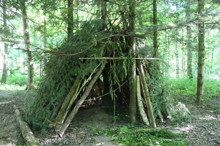 53D891ED-1E05-4EC3-ADCB-0E672334DA0D